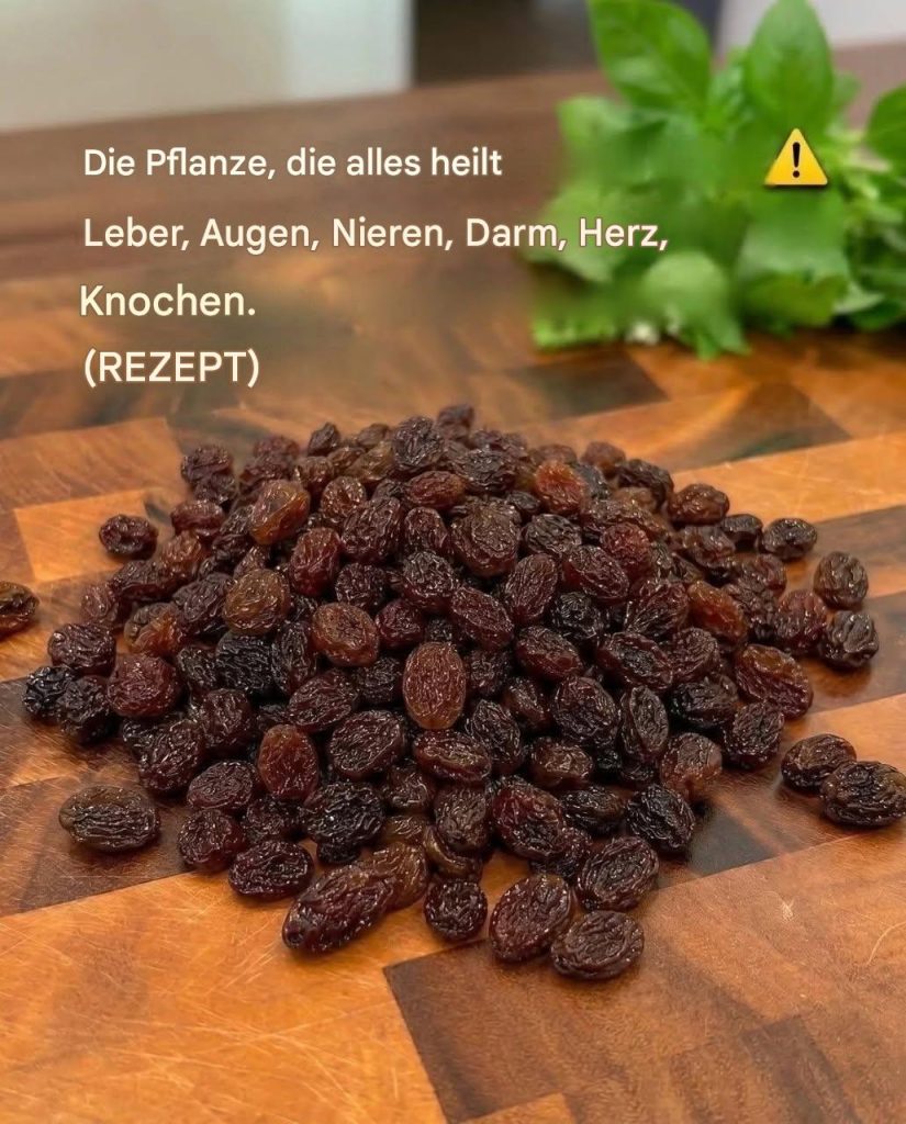 726539810_122114198199287530_1997879940986954131_n(1) 726539810_122114198199287530_1997879940986954131_n(1)